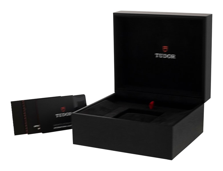 Tudor Black Bay 58 M79010SG-0002